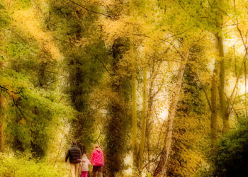 Impression of Autumn