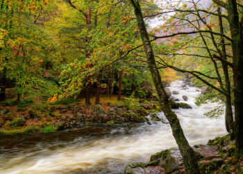 Aberglaslyn Autumn