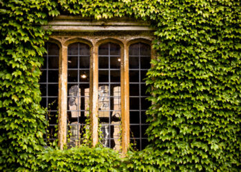 Old Glass at Barrington