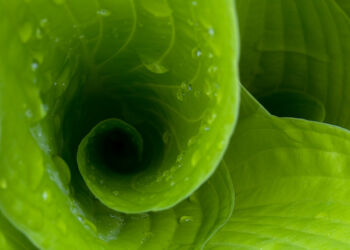 Into the Spiral
