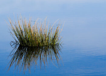 23-IMG_0145-Edit023.jpg