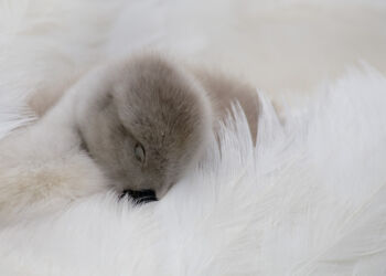 Safe & Warm