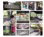Albania - Land of the Eagles 2018-057