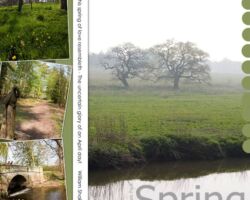 AttinghamPark.JPG