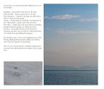 Crimea Discovery 008 (Side 4)