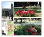 Crimea Discovery 031 (Side 50)
