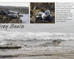small_book-006_(Seg-1).jpg