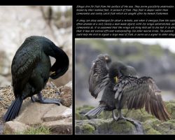 small_book-011_(Seg-2).jpg