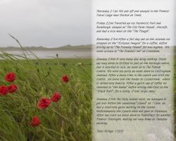 small_book-021.jpg
